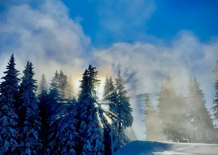 Apartment In Castle 1 *